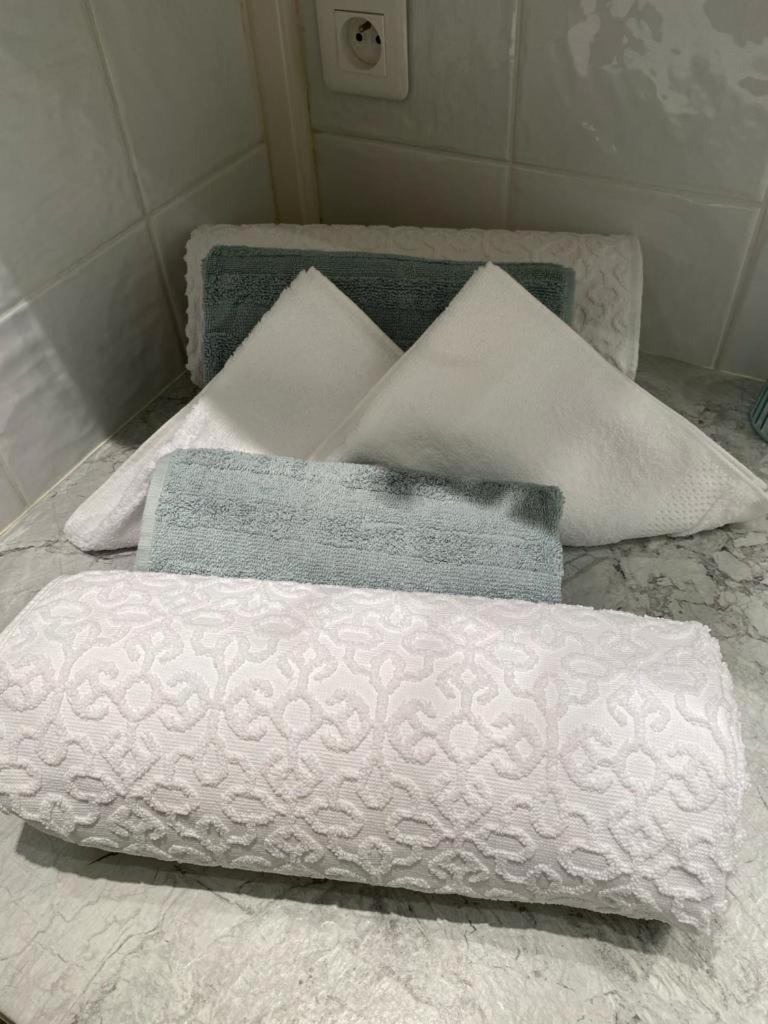 Apartament Le Duc De Savoie Thonon Zewnętrze zdjęcie